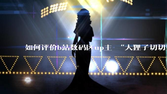 如何评价b站数码区up主 “大狸子切切里”?
