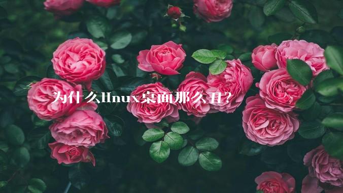 为什么linux桌面那么丑？