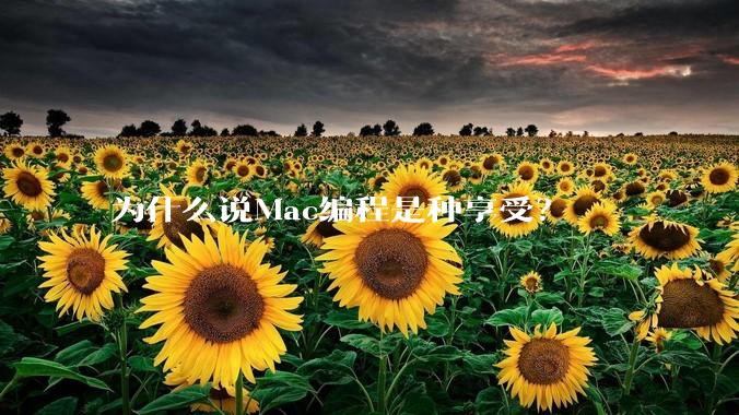 为什么说Mac编程是种享受？