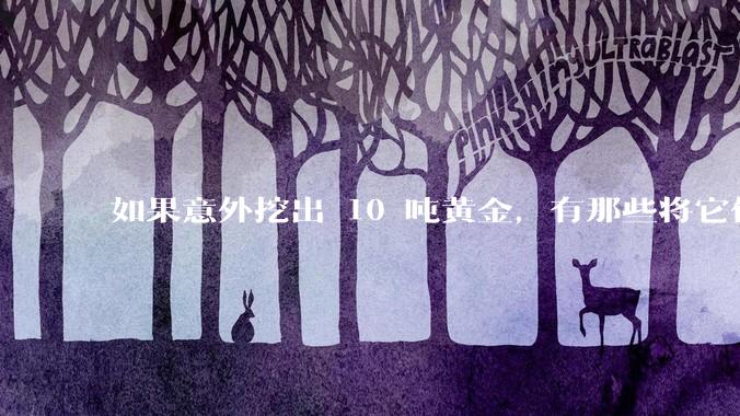 如果意外挖出 10 吨黄金，有那些将它们洗白、正常使用的方法？