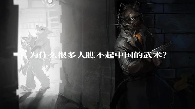 为什么很多人瞧不起中国的武术？