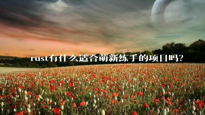 rust有什么适合萌新练手的项目吗？