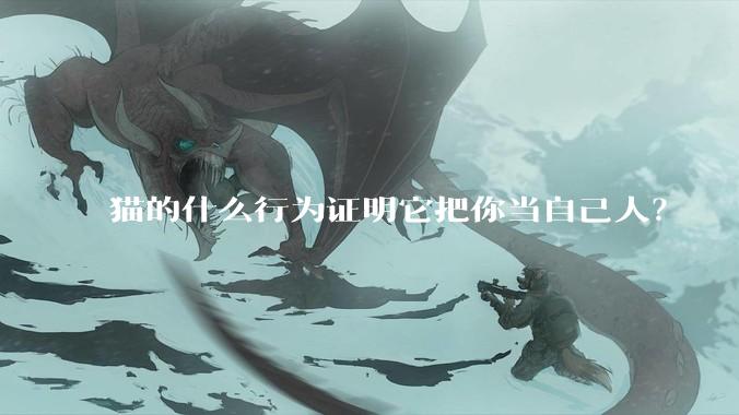 猫的什么行为证明它把你当自己人？