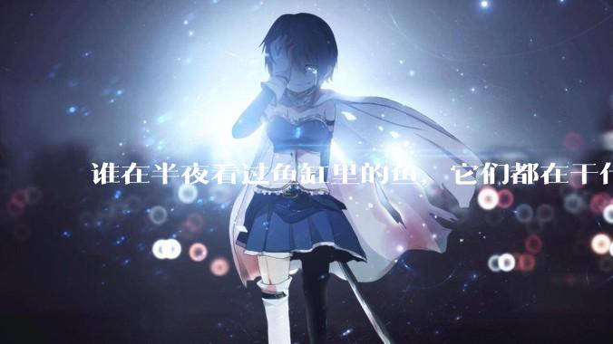 谁在半夜看过鱼缸里的鱼，它们都在干什么？
