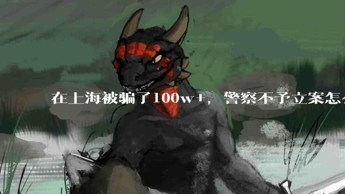 在上海被骗了100w+，警察不予立案怎么办？