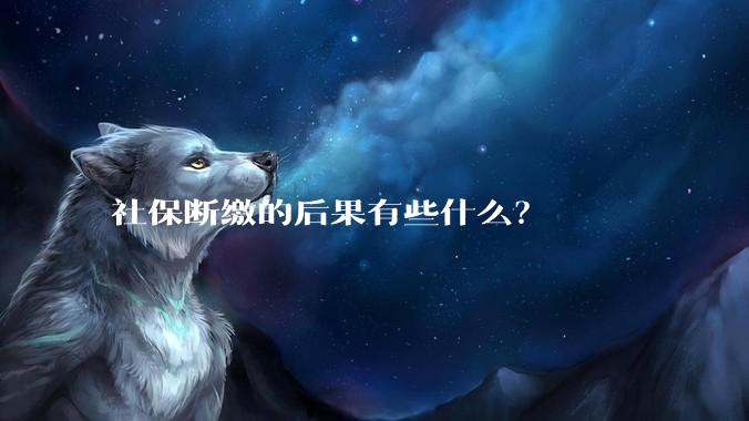 社保断缴的后果有些什么？