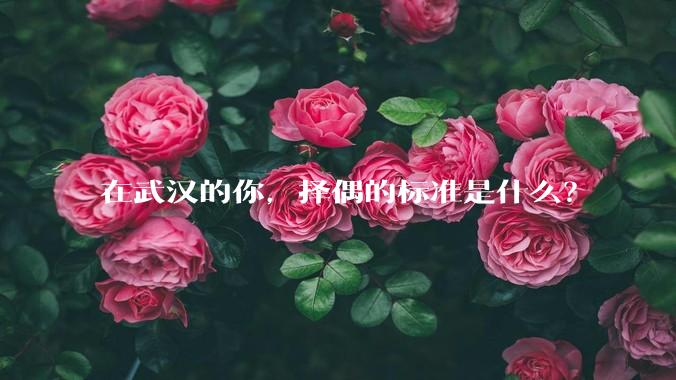 在武汉的你，择偶的标准是什么？