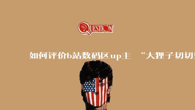 如何评价b站数码区up主 “大狸子切切里”?